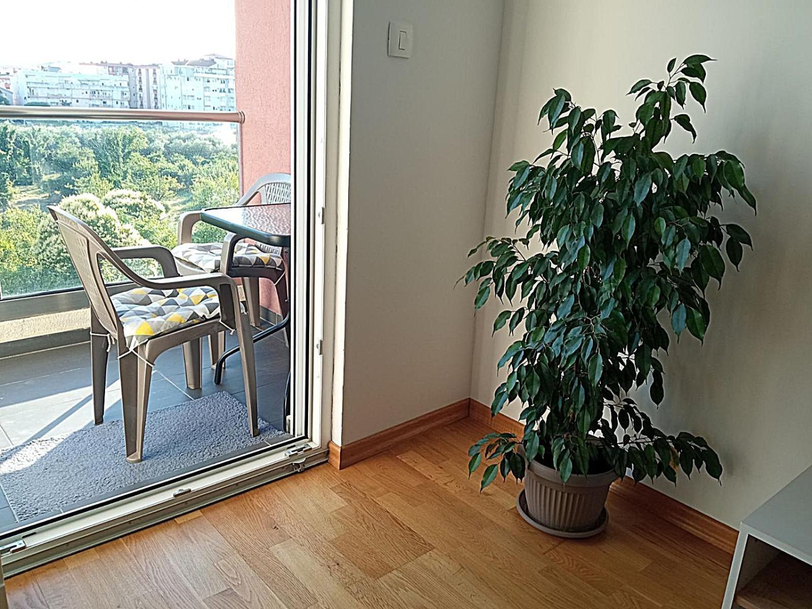 Aga Apartman Podgorica Exteriér fotografie